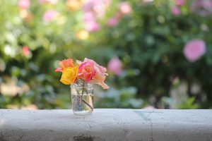 Repurposing content: 4 tips and examples for nonprofit communicators